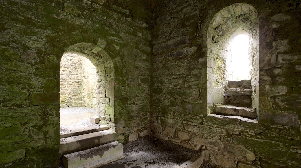 Cong Abbey mit einem Geschichtliches, Ruine und Burg