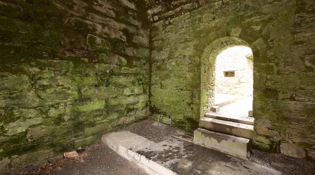 Cong Abbey showing heritage elements, heritage architecture and a ruin