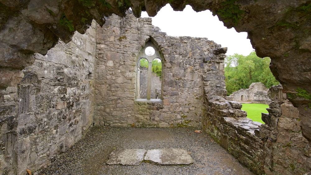 Abbey de Cong montrant ruine, château ou palais et patrimoine architectural
