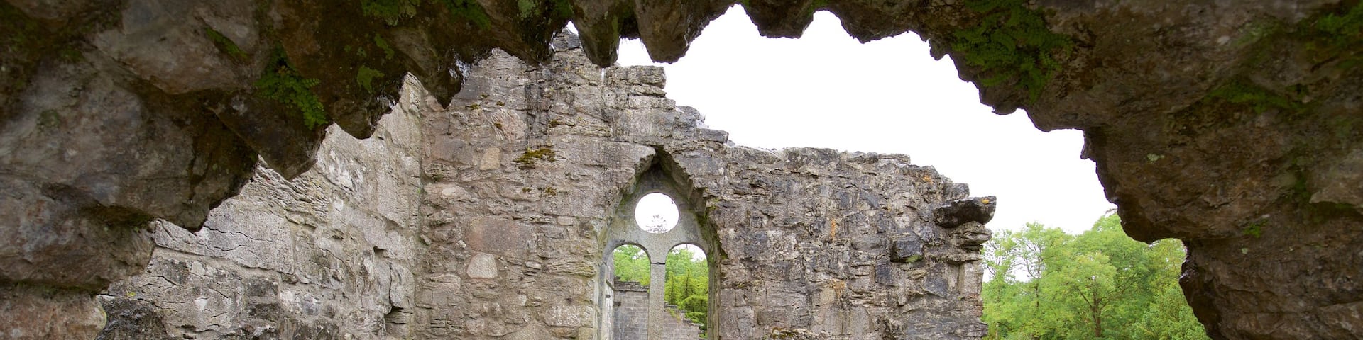 Cong Abbey featuring heritage elements, a ruin and chateau or palace