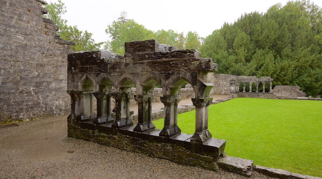 Cong Abbey which includes heritage architecture, chateau or palace and heritage elements