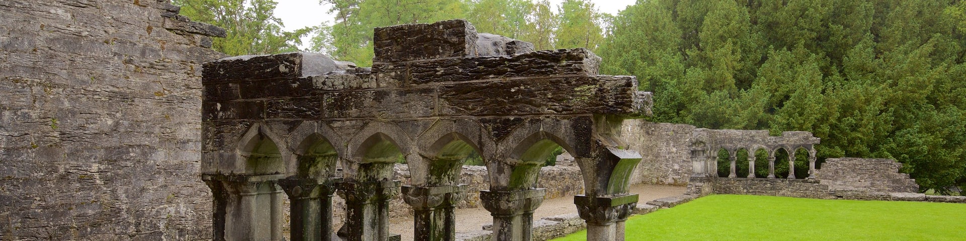 Cong Abbey featuring heritage elements, a castle and heritage architecture
