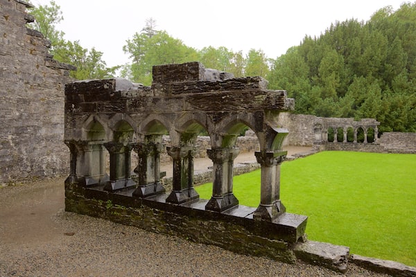 Cong Abbey which includes building ruins, heritage architecture and château or palace