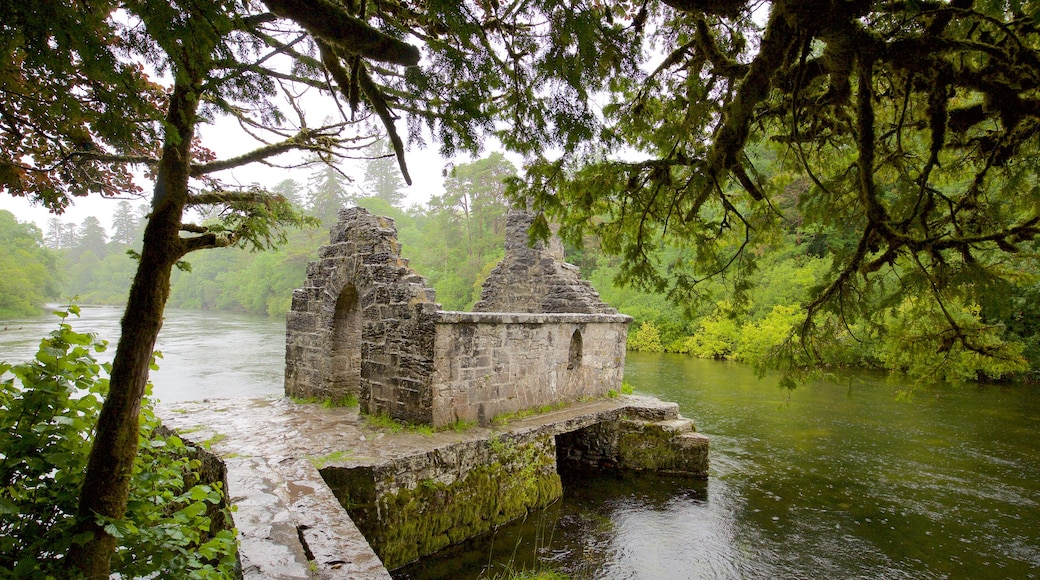 Abbazia di Cong mostrando rovine, fiume o ruscello e oggetti d\'epoca