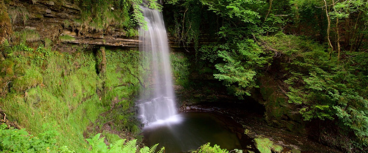 Glencar Waterfall featuring a cascade, forests and tranquil scenes
