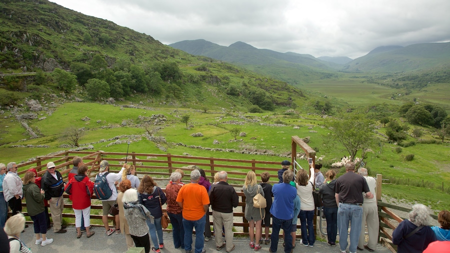 Moll\'s Gap showing tranquil scenes, landscape views and views