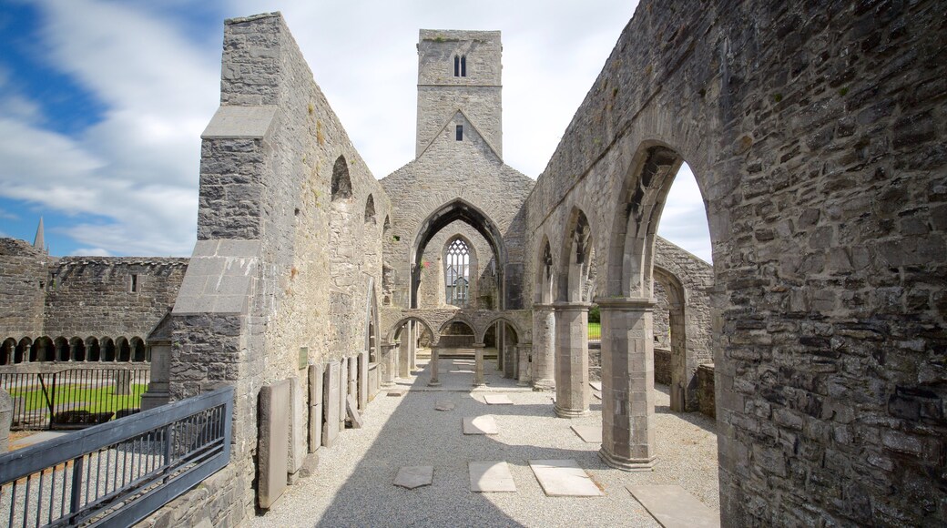 Sligo Abbey que inclui arquitetura de patrimônio, elementos de patrimônio e um castelo