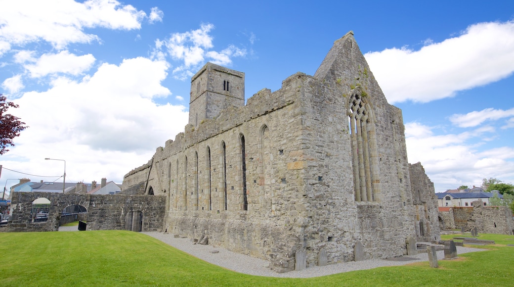 Sligo Abbey featuring a castle, heritage elements and religious elements