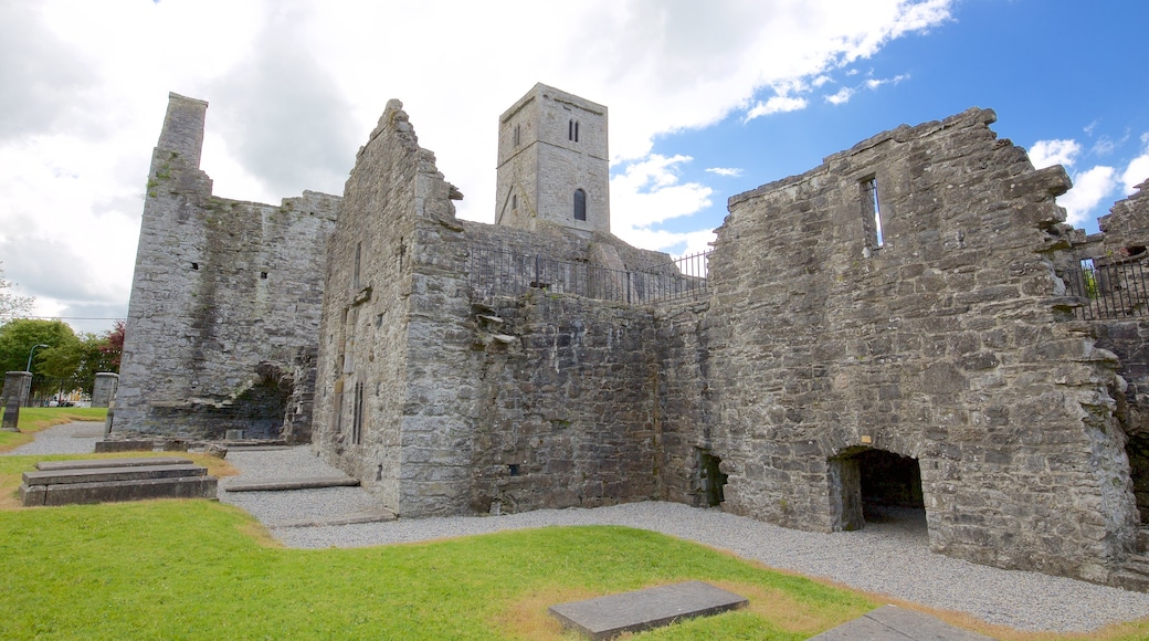 Sligo Abbey featuring building ruins, château or palace and heritage architecture