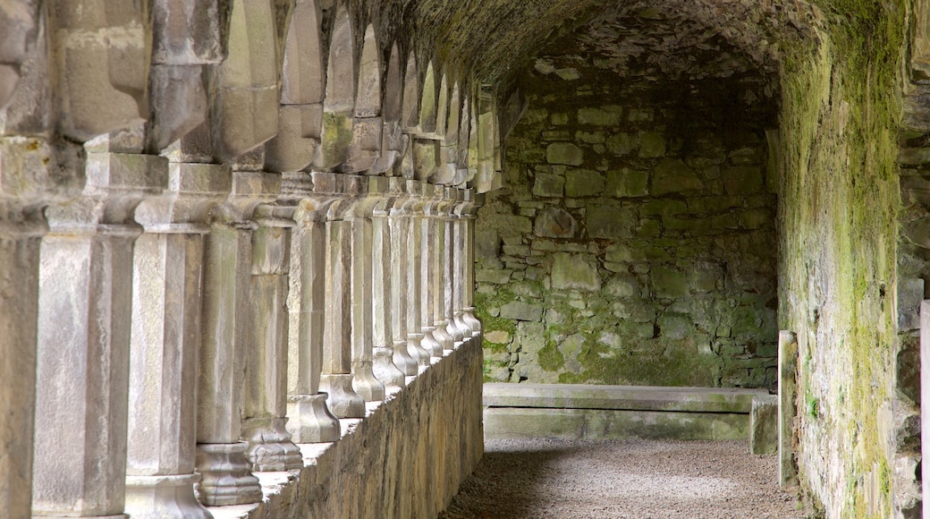 Sligo Abbey ofreciendo palacio, elementos patrimoniales y arquitectura patrimonial