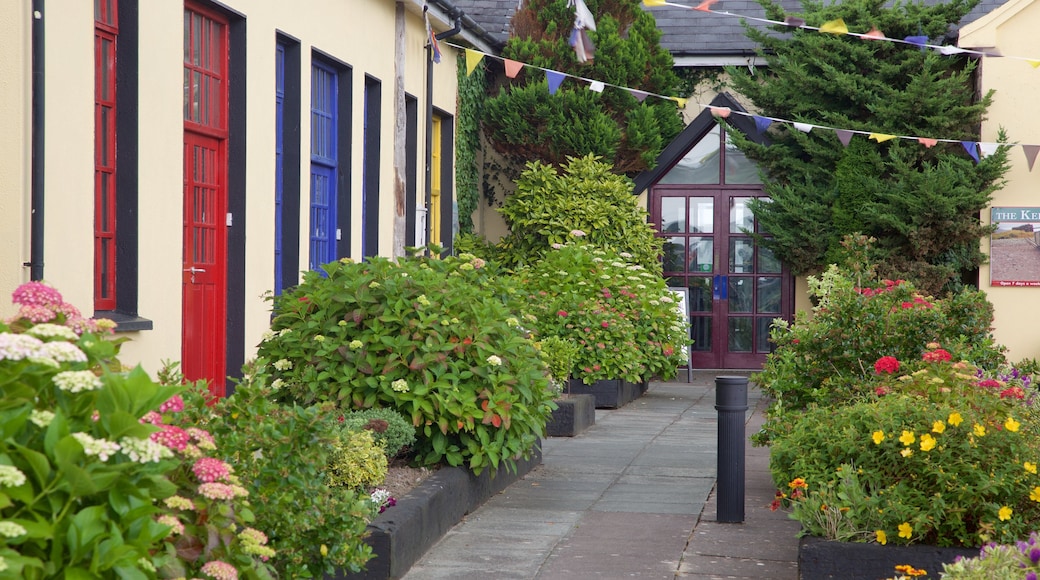 Windmolen van Blennerville toont bloemen