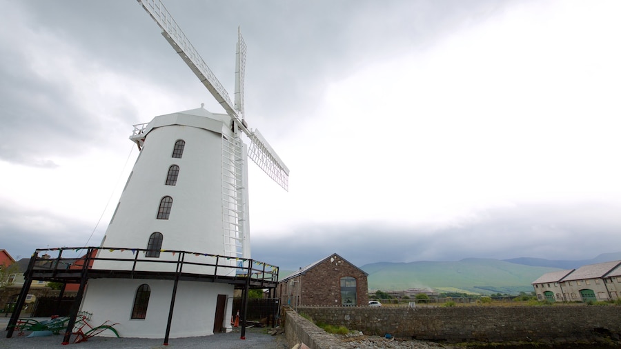 Blennerville Windmill showing heritage architecture, a windmill and heritage elements