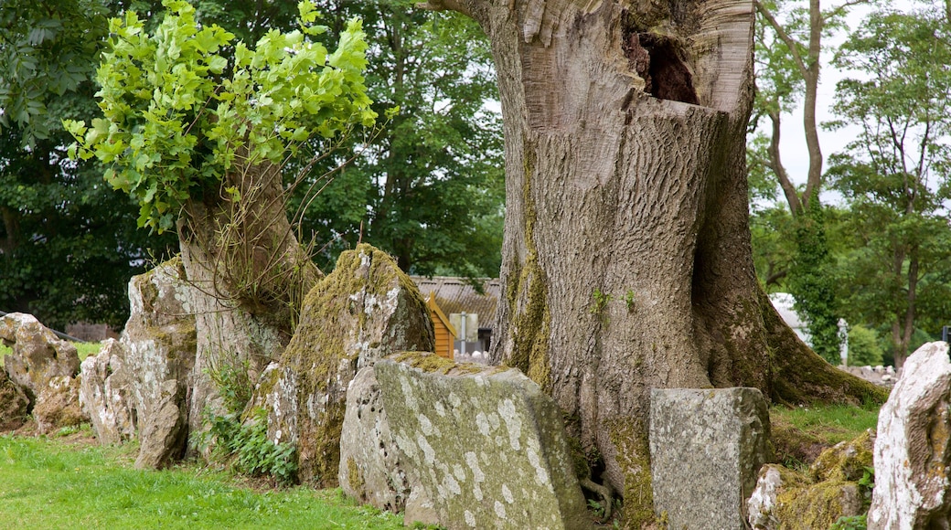 Grange Stone Circle