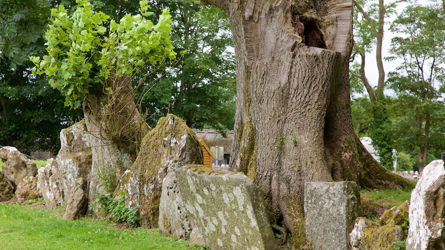 Grange Stone Circle og byder på kulturarvsgenstande og et monument
