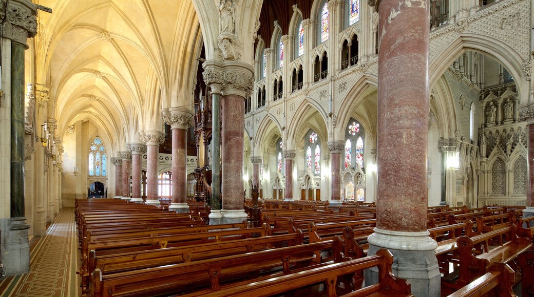 St. Colman\'s Cathedral showing heritage elements, interior views and heritage architecture