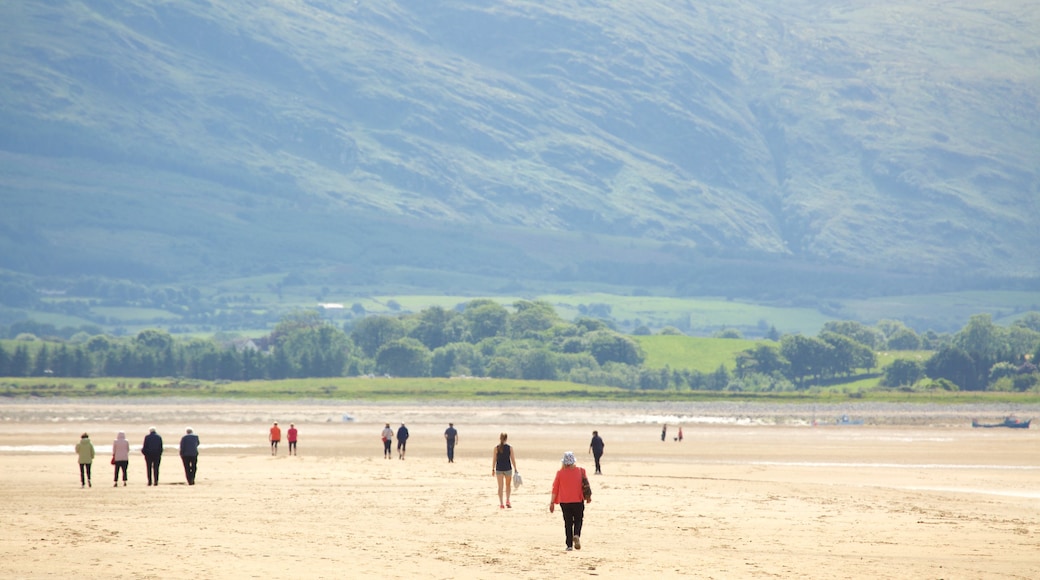 Strandhill Beach mostrando paesaggi rilassanti e spiaggia sabbiosa cosi come un piccolo gruppo di persone