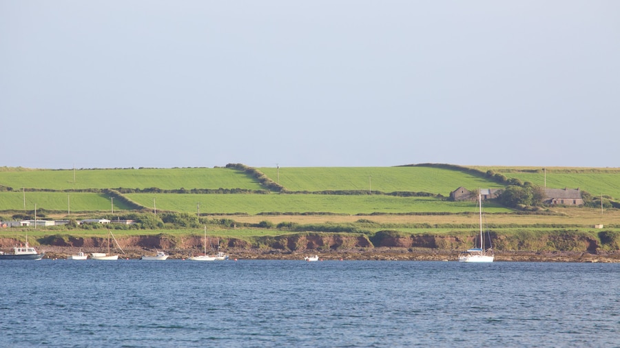 Ventry Beach inclusief vredige uitzichten en een rivier of beek