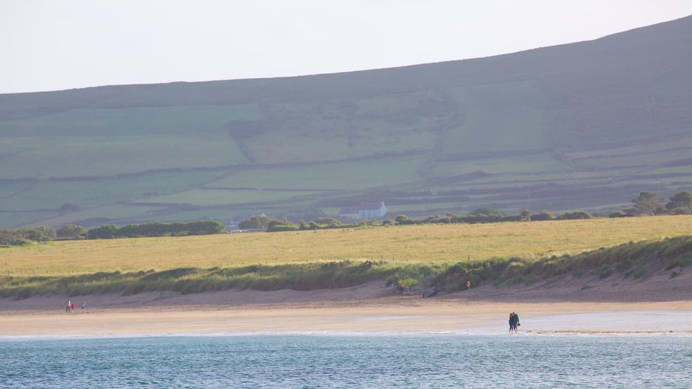 Ventry Beach welches beinhaltet Sandstrand und ruhige Szenerie