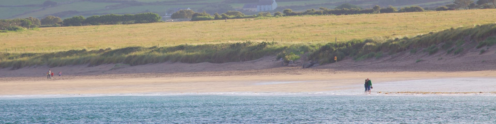 Ventry Beach featuring tranquil scenes and a beach