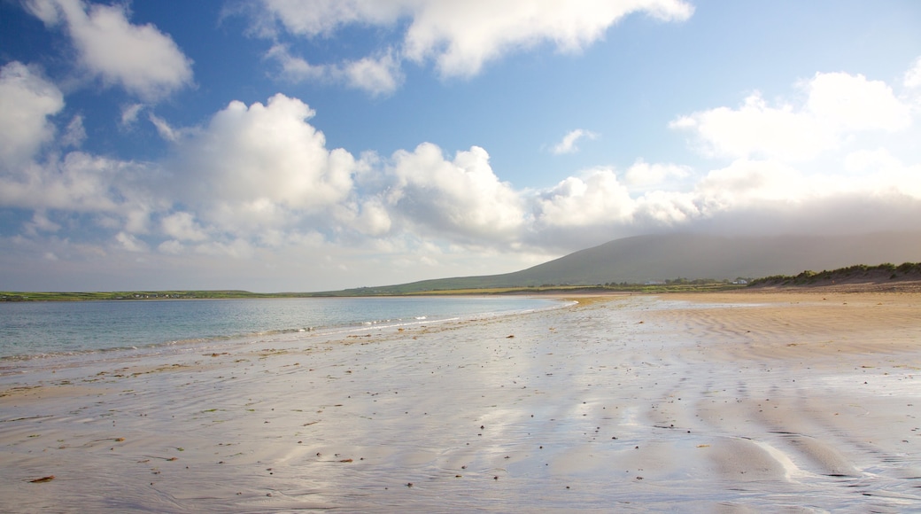 Plage de Ventry mettant en vedette scènes tranquilles et plage