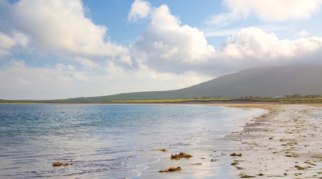 Ventry Beach which includes a beach and general coastal views