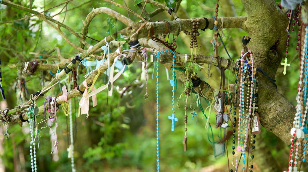 Tobernalt Holy Well mostrando elementos religiosos y elementos del patrimonio