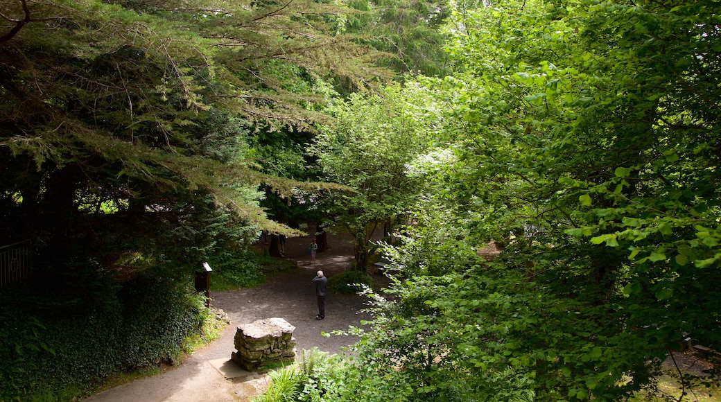 Tobernalt Holy Well featuring a park, heritage elements and religious elements