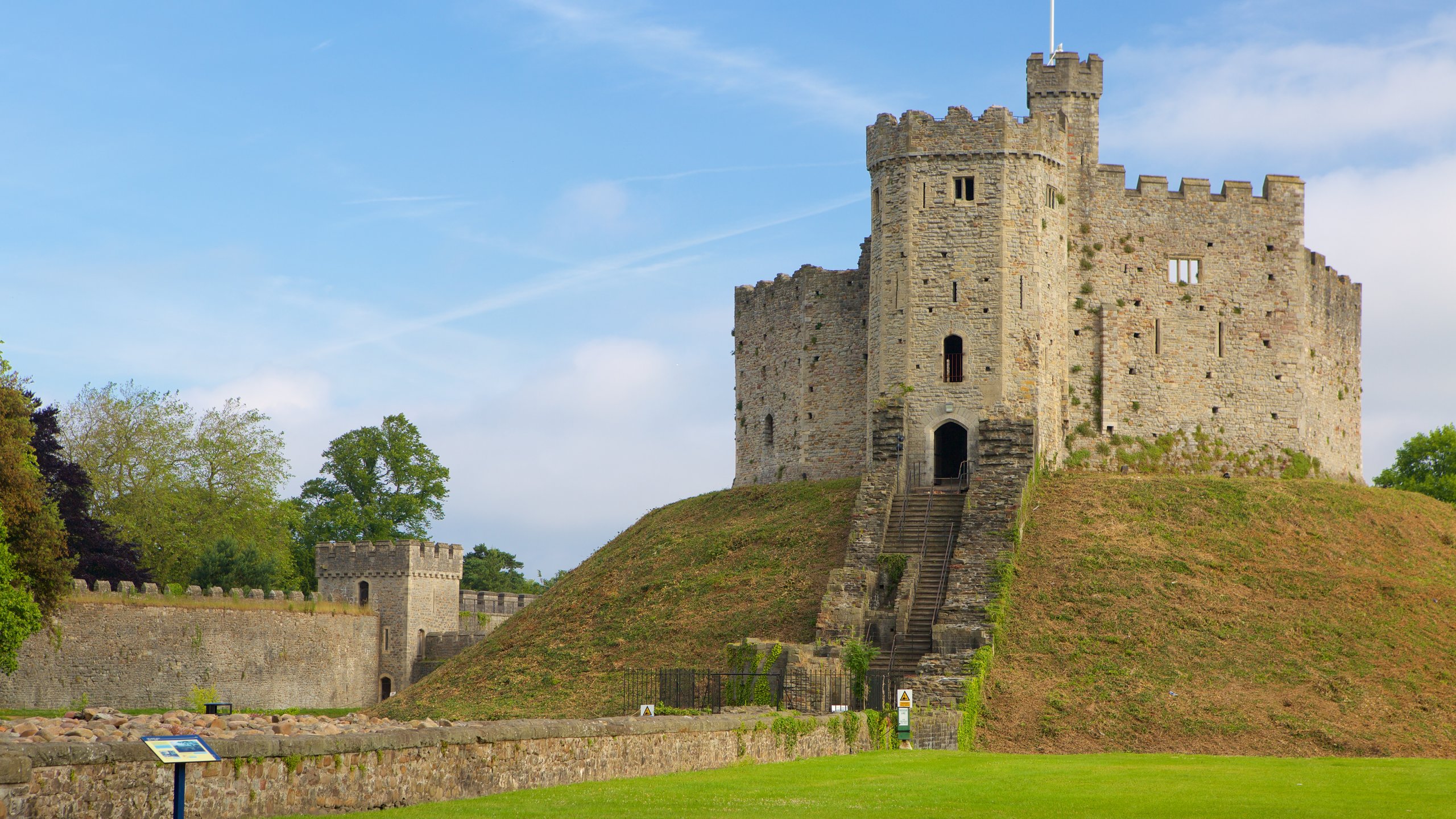 Cardiff City FC Crest - Wall