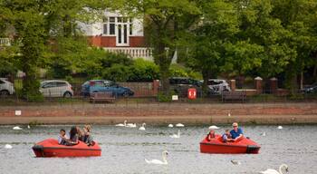 Roath Park which includes kayaking or canoeing, bird life and a lake or waterhole