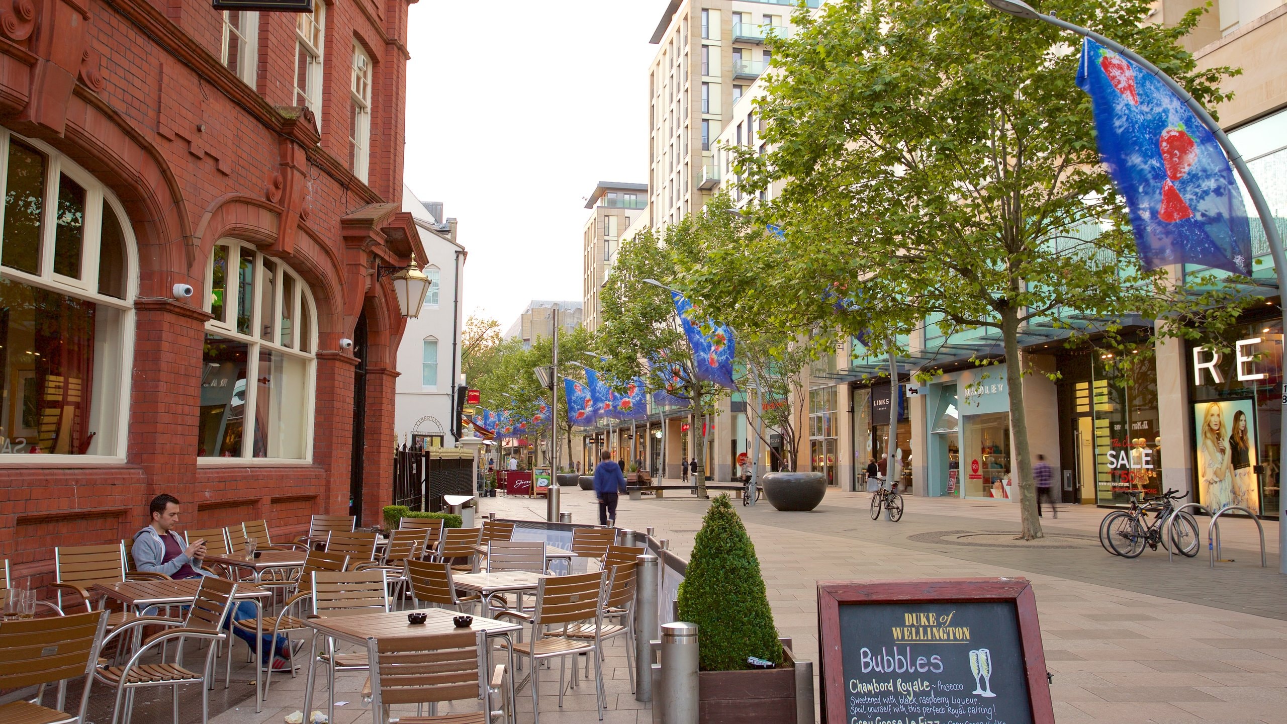 Cardiff que incluye una ciudad, escenas urbanas y comer al aire libre