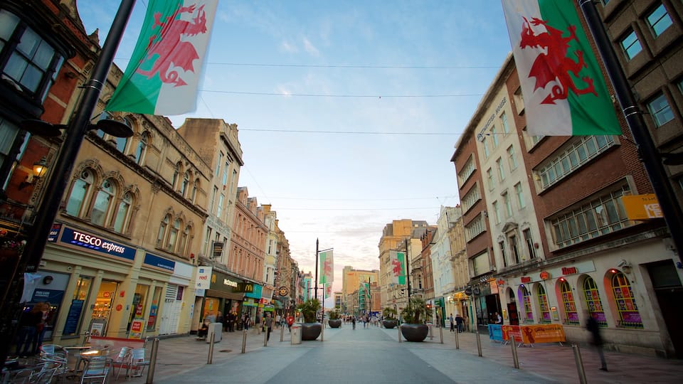 Cardiff ofreciendo escenas cotidianas y una ciudad