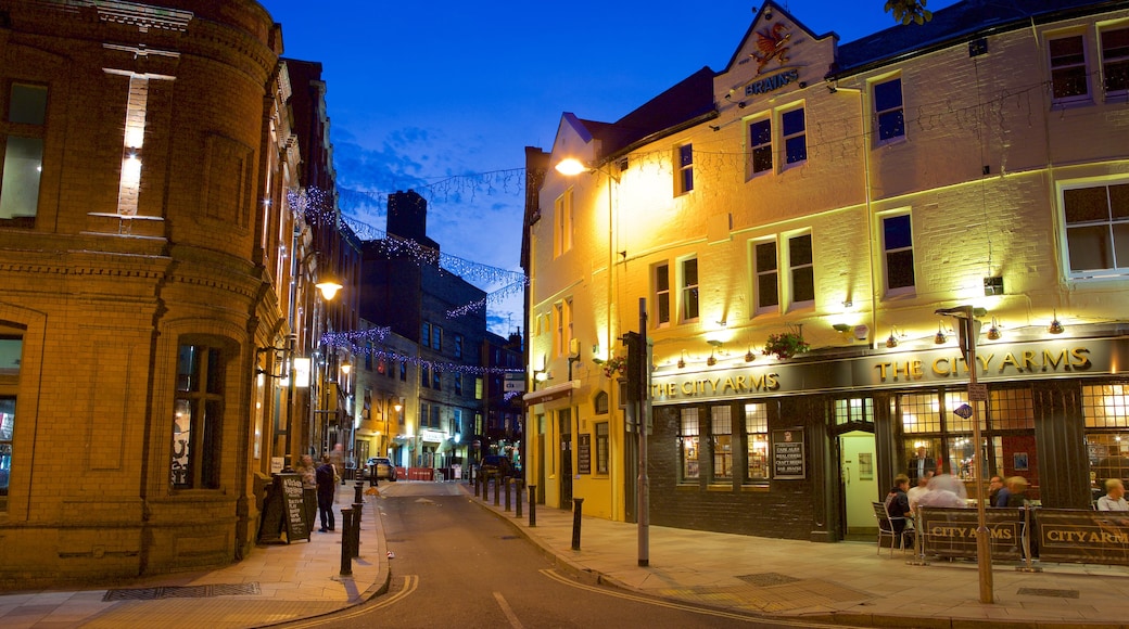 Cardiff featuring dining out, a bar and night scenes