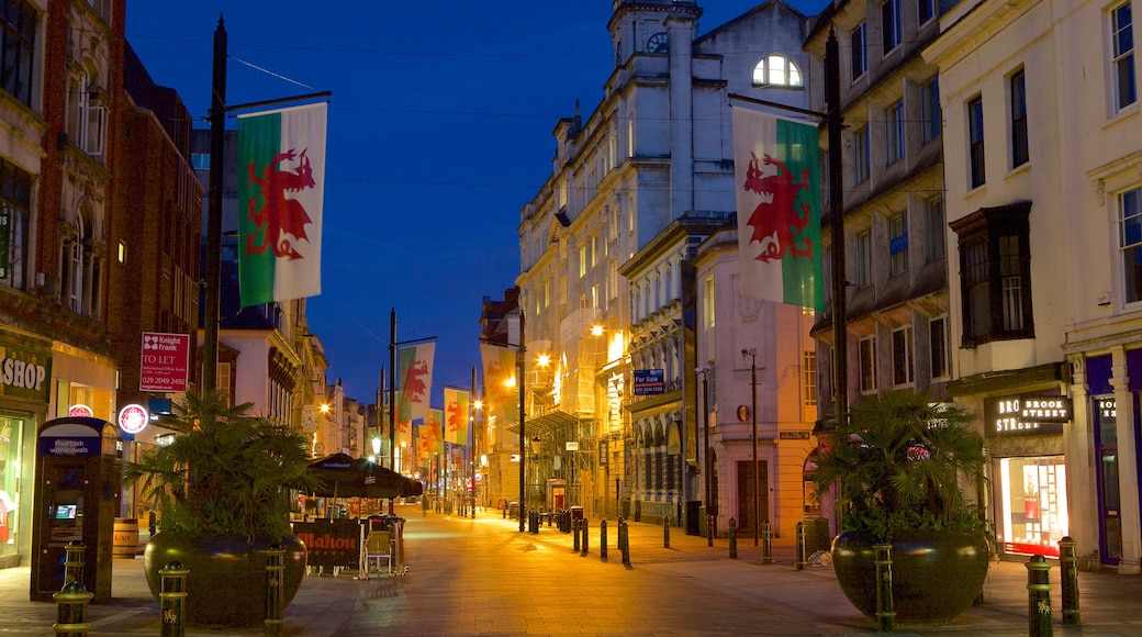 Cardiff showing street scenes, night scenes and a city