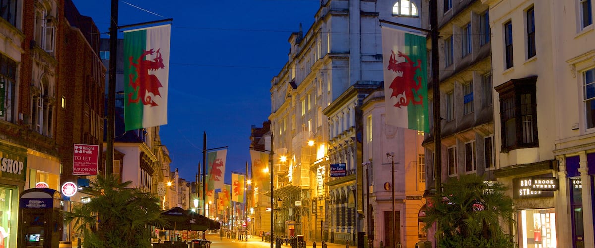 Cardiff showing a city, street scenes and night scenes