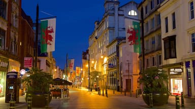 Cardiff featuring a city, night scenes and street scenes