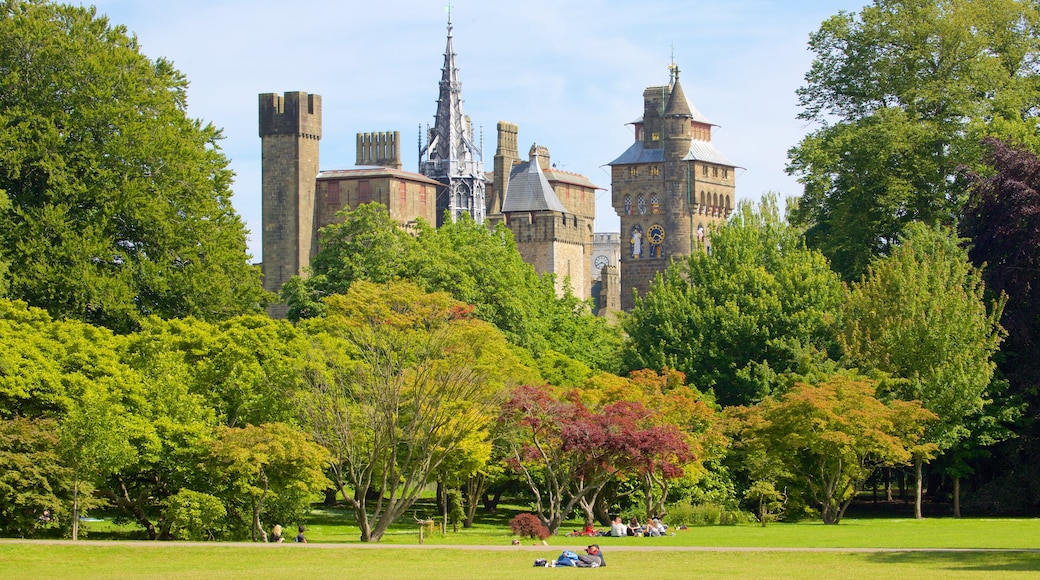 Bute Park showing a park, heritage elements and a castle