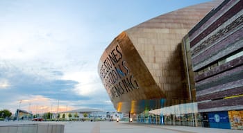 Wales Millennium Centre montrant architecture moderne, ville et square ou place