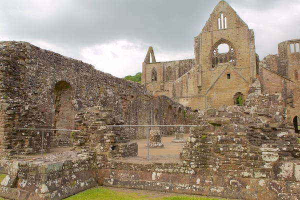Abbaye de Tintern qui includes bâtiments en ruines, patrimoine historique et patrimoine architectural