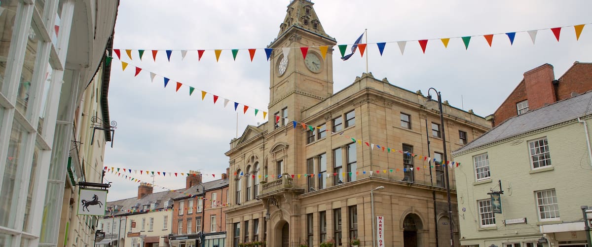 Welshpool showing street scenes as well as an individual male