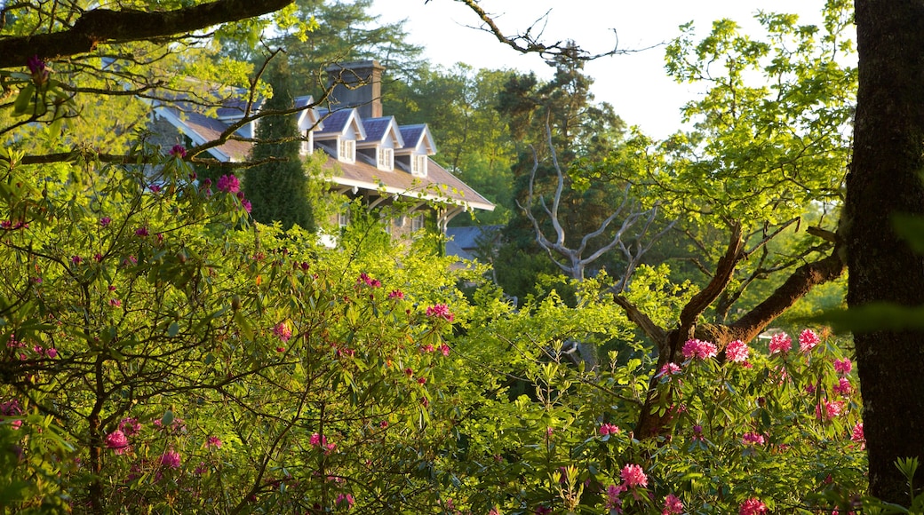 魔鬼橋 设有 公園 和 花卉