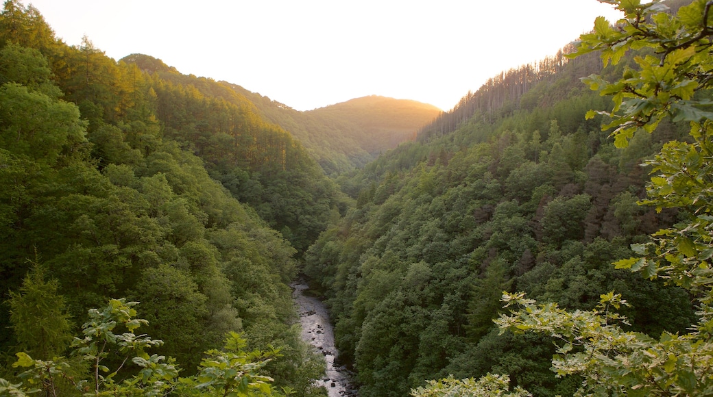 Devil\'s Bridge which includes tranquil scenes, forest scenes and landscape views