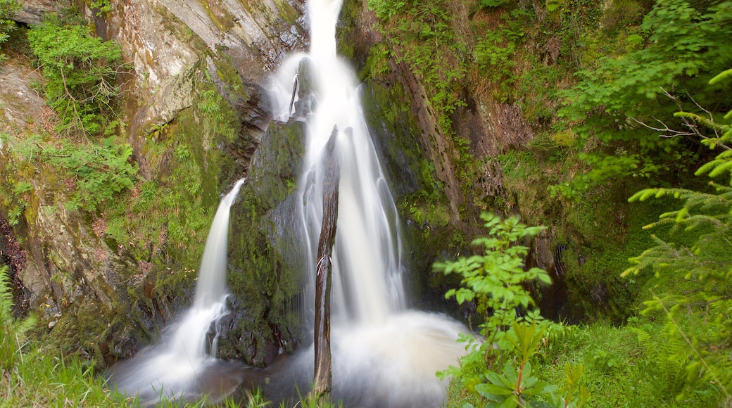 Devil\'s Bridge featuring a waterfall, forests and a pond