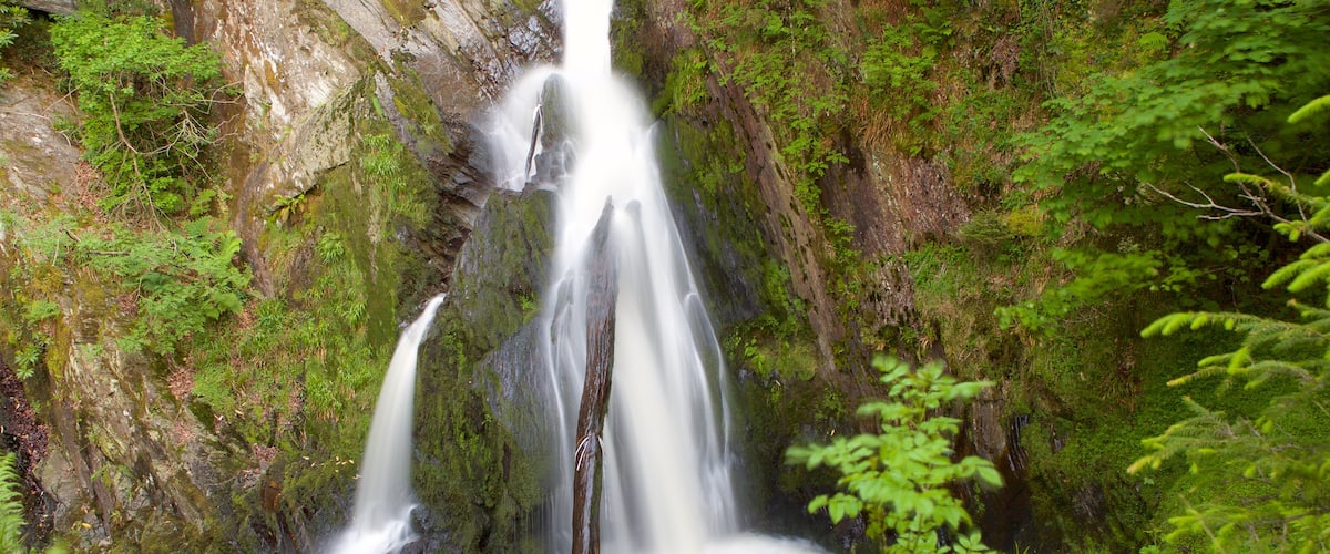 Devils Bridge which includes tranquil scenes, a waterfall and a pond