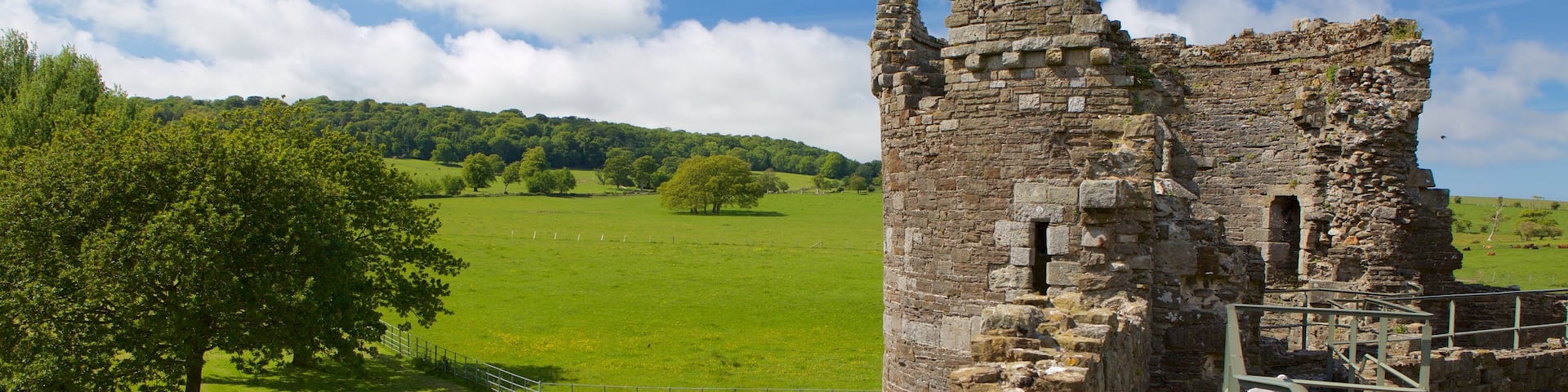 Beaumaris Castle showing tranquil scenes, a castle and a ruin