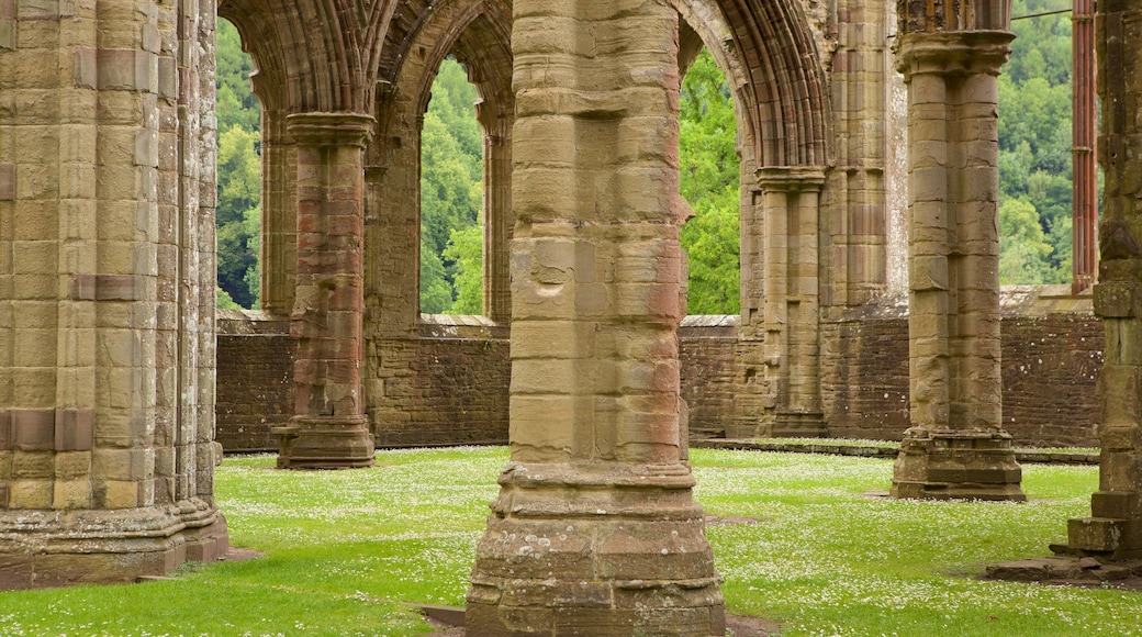 Tintern Abbey mostrando oggetti d\'epoca, architettura d\'epoca e castello o palazzo