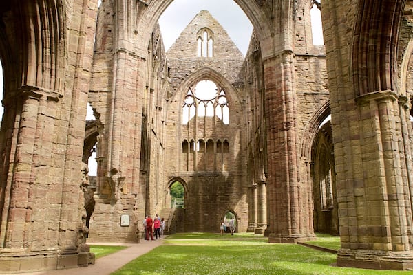 Abbaye de Tintern mettant en vedette chùteau ou palais, église ou cathédrale et patrimoine historique