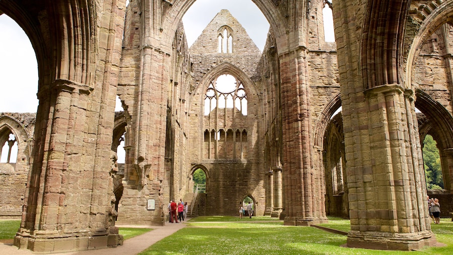 Tintern Abbey showing heritage elements, religious elements and a church or cathedral