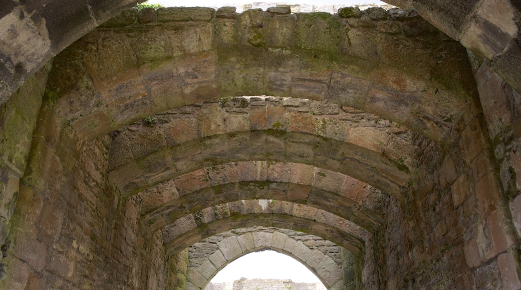 Beaumaris Castle showing heritage architecture, heritage elements and a castle