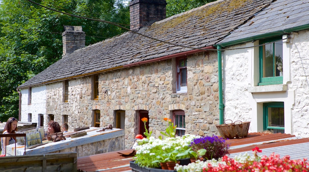 St Fagans mostrando flores