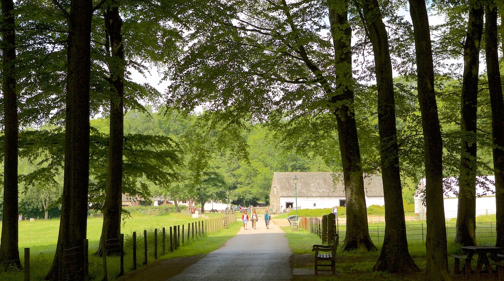 St Fagans mettant en vedette jardin